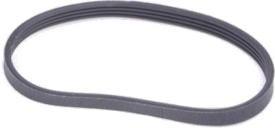 Drive Belt Comaptible With Qualcast Poly V FO16-102358, L62287