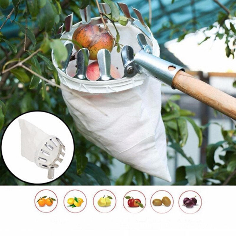 Portable Metal Fruit Picker Horticultural Fruit Picker Gardening