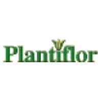 Plantflor